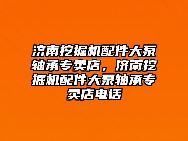 濟南挖掘機配件大泵軸承專賣店，濟南挖掘機配件大泵軸承專賣店電話