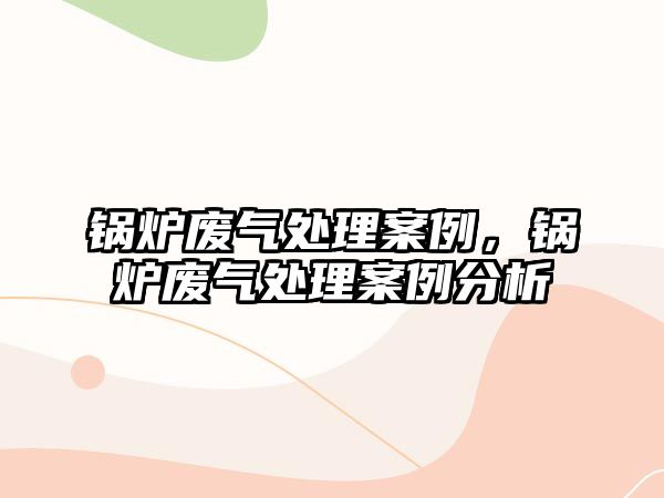 鍋爐廢氣處理案例，鍋爐廢氣處理案例分析