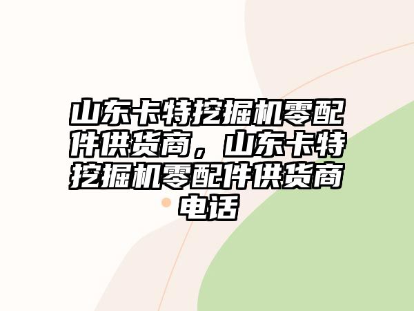 山東卡特挖掘機零配件供貨商，山東卡特挖掘機零配件供貨商電話