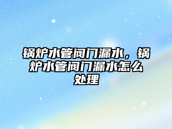 鍋爐水管閥門漏水，鍋爐水管閥門漏水怎么處理