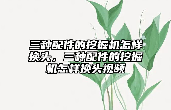 三種配件的挖掘機怎樣換頭，三種配件的挖掘機怎樣換頭視頻