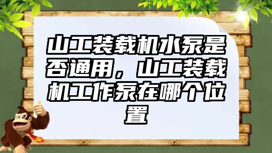 山工裝載機水泵是否通用，山工裝載機工作泵在哪個位置