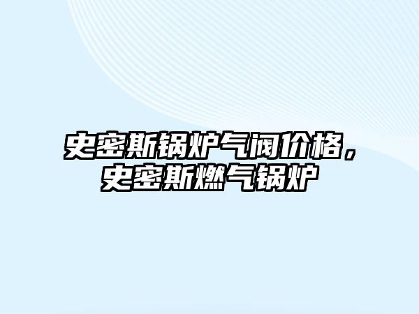 史密斯鍋爐氣閥價格，史密斯燃氣鍋爐