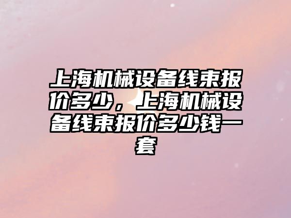 上海機械設備線束報價多少，上海機械設備線束報價多少錢一套