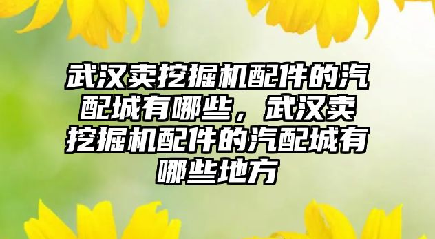 武漢賣挖掘機配件的汽配城有哪些，武漢賣挖掘機配件的汽配城有哪些地方