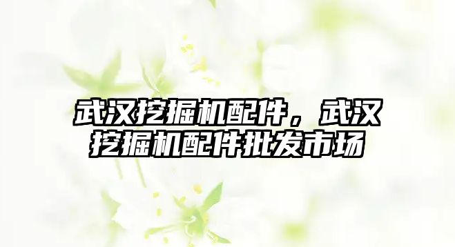 武漢挖掘機配件，武漢挖掘機配件批發(fā)市場