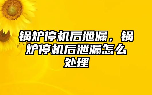 鍋爐停機后泄漏，鍋爐停機后泄漏怎么處理