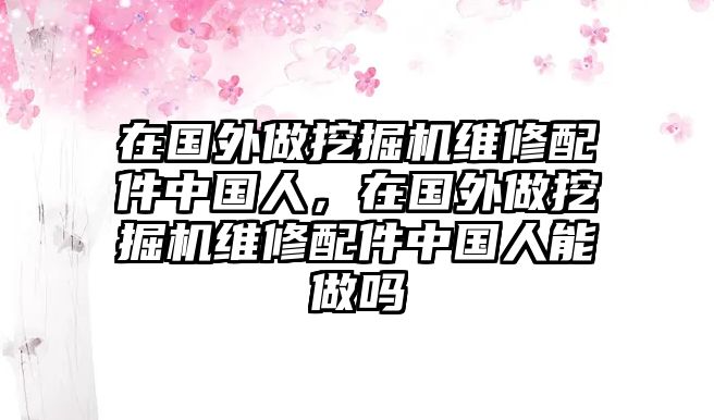 在國外做挖掘機維修配件中國人，在國外做挖掘機維修配件中國人能做嗎