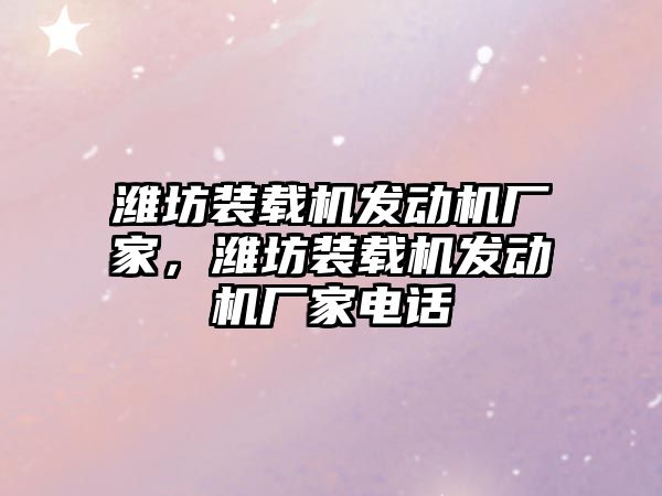 濰坊裝載機發動機廠家，濰坊裝載機發動機廠家電話