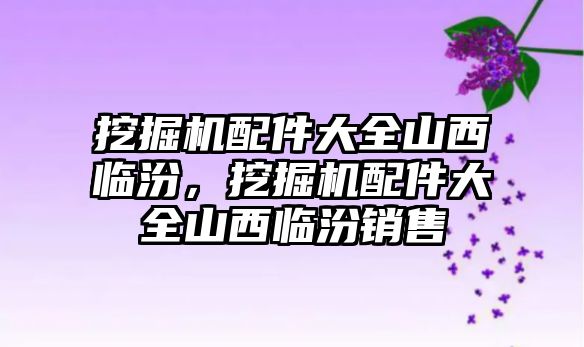 挖掘機配件大全山西臨汾，挖掘機配件大全山西臨汾銷售