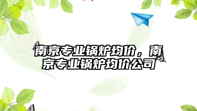 南京專業鍋爐均價，南京專業鍋爐均價公司