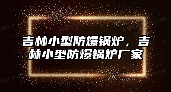 吉林小型防爆鍋爐，吉林小型防爆鍋爐廠家