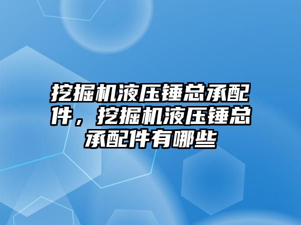 挖掘機液壓錘總承配件，挖掘機液壓錘總承配件有哪些