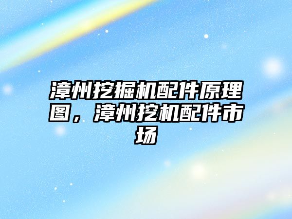 漳州挖掘機配件原理圖，漳州挖機配件市場