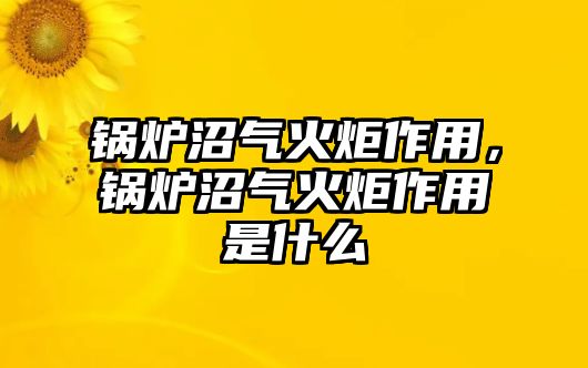 鍋爐沼氣火炬作用，鍋爐沼氣火炬作用是什么